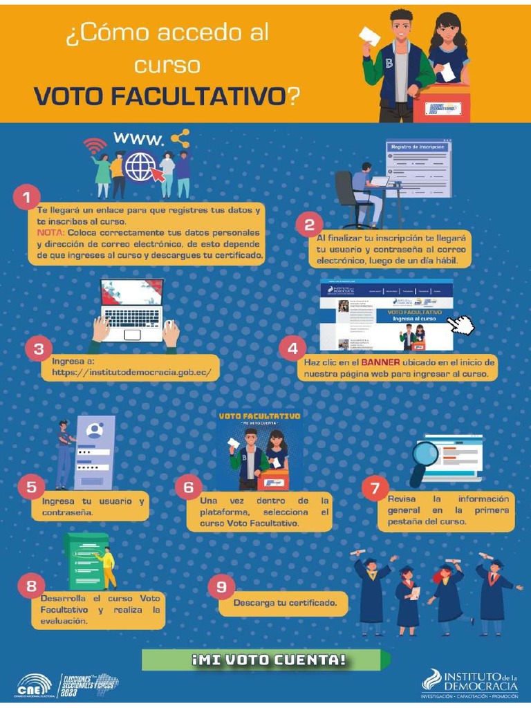 Infografía Curso Voto Facultativo | PDF