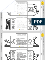 Animales Invertebrados Material Plegable Recursosep Byn