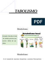 Procesos metabólicos celulares: catabolismo, anabolismo y metabolismo
