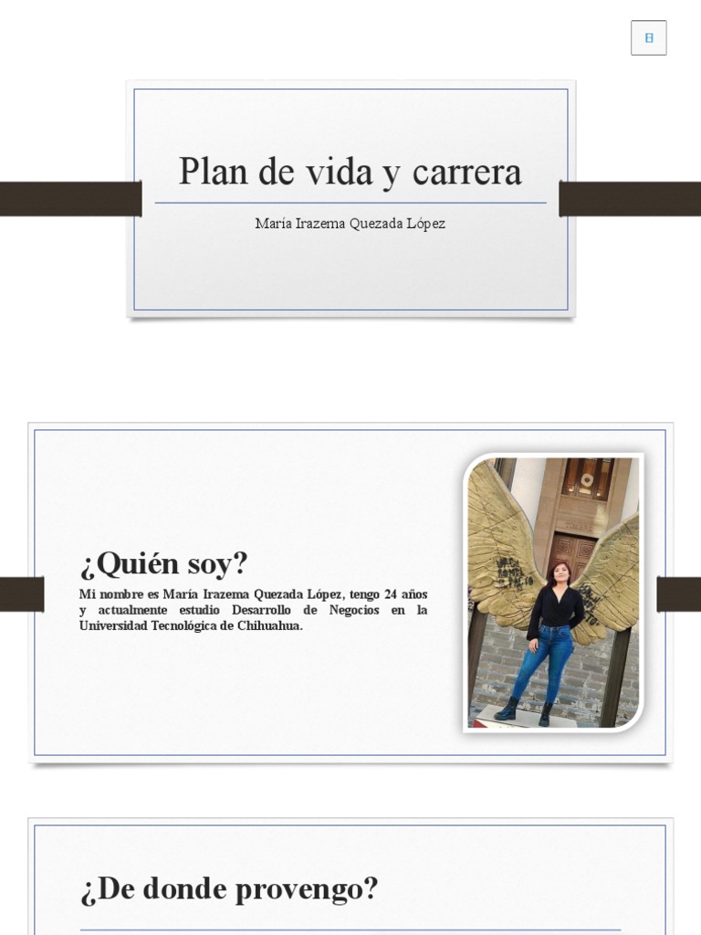 Plan de Vida y Carrera | PDF