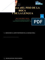 Anatomía de la cavidad oral y la lengua