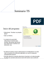 Seminario TS