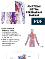 Anatomi Sistem Peredaran Darah