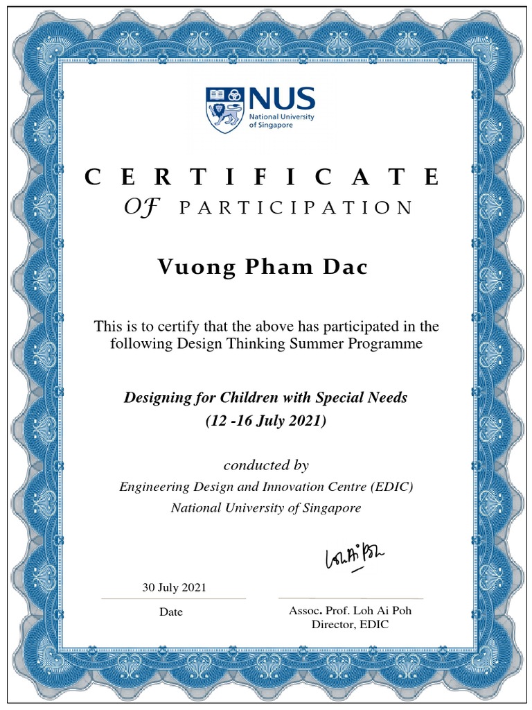 nus-summer-program-pdf