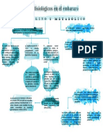 Cambios fisiológicos en el embarazo: metabolismo y hormonas