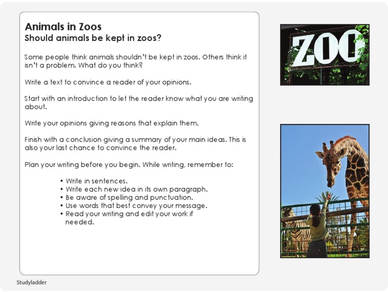 Studyladder - Persuasive Text - Should Animals Be Kept in Zoos | PDF