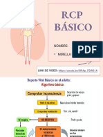 RCP - Básico