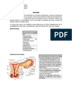 RESUMEN Factor Tuboperitoneal