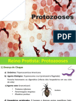 Protozooses