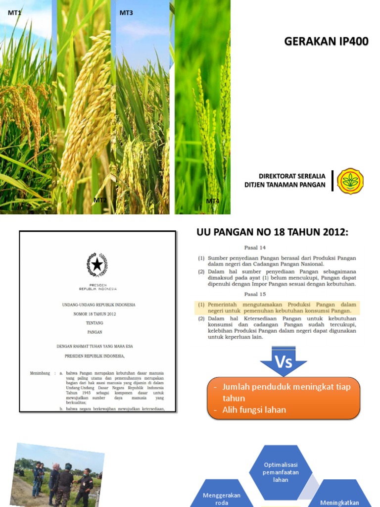 Gerakan IP400: Optimalisasi Pertanaman Padi | PDF