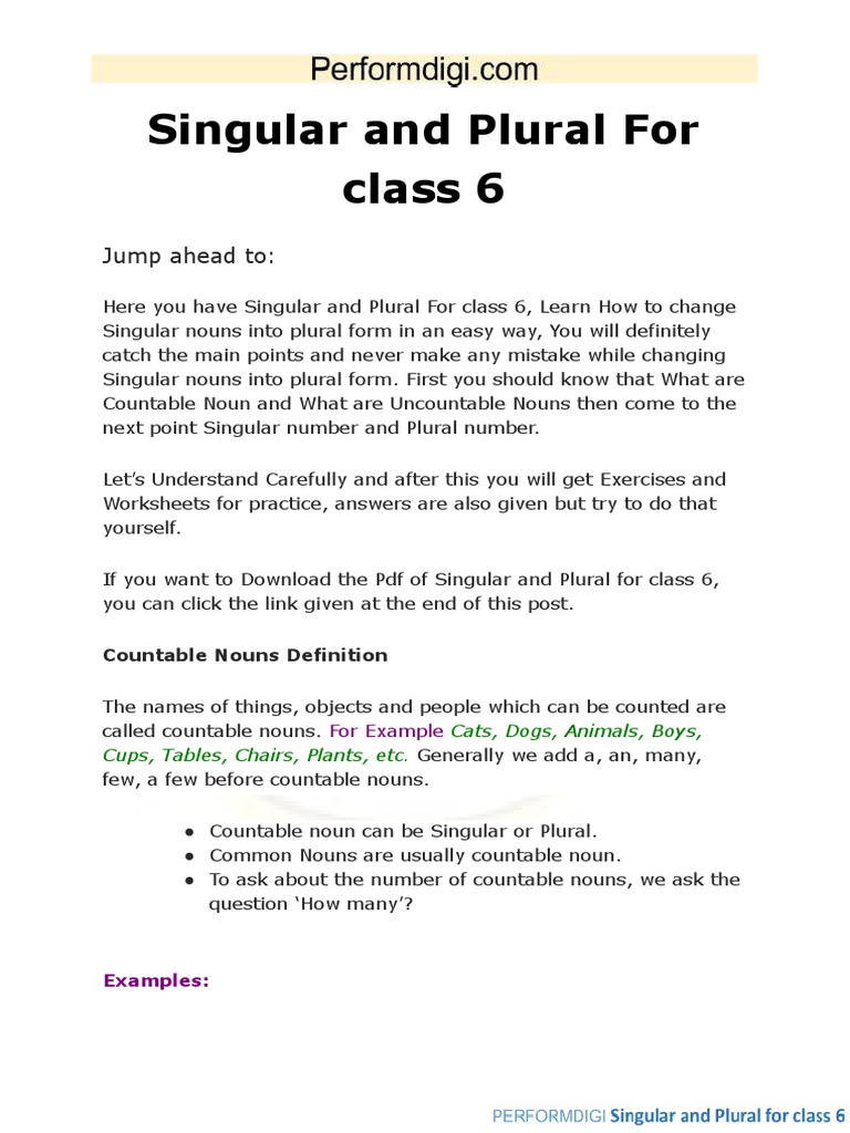 Class 6 Singular and Plural Worksheet | PDF | Plural | Grammatical Number