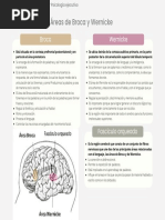 Funciones del Lóbulo de la Ínsula | PDF | Corteza Insular | Lóbulo temporal