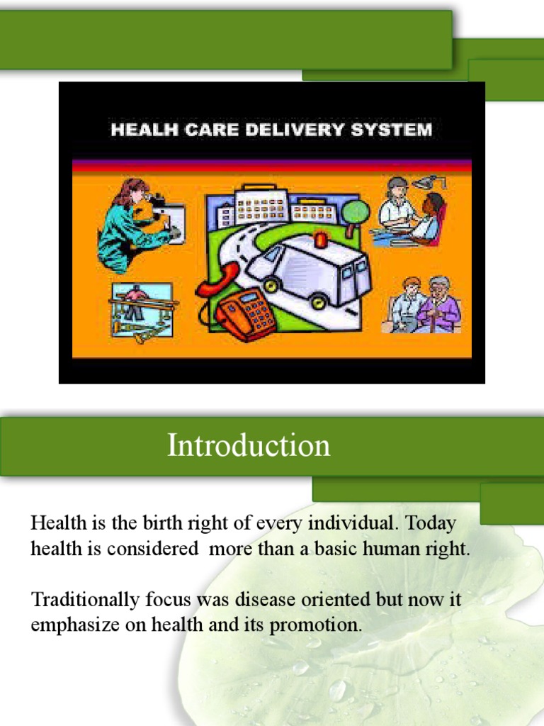 Overview of India's Health Care Delivery System | PDF | Health Care ...
