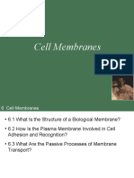 Bio201 Lecture 10 Cell Membranes Part 2