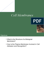 Bio201 Lecture 9 Cell Membranes