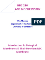 Membranes