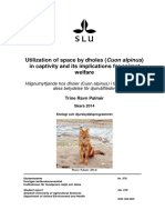 Utilisation of Space by Dholes in Captivity and Its Implication For Animal Welfare