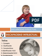 T.7 Discapacidad Intelectual