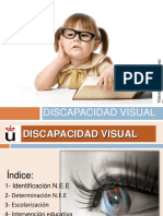 T.11 Discapacidad Visual 2020