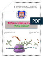 Protein Synthesis Complete