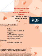 PPT-Kelas XI MIPA Kelompok-1-Reproduksi-Laki-Laki-&-Proses-Pembentukkan-Sperma