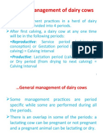 General Management of Dairy Cows