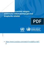 Introducere in Sistemul ONU in Domeniul Drepturilor Omulu
