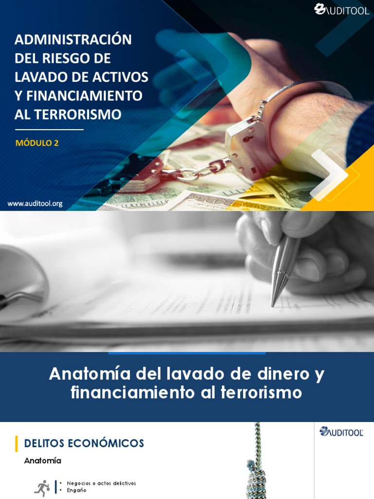 Anatomía del Lavado de Activos y Terrorismo | PDF | Lavado de dinero ...