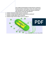 Soal Latihan Biologi