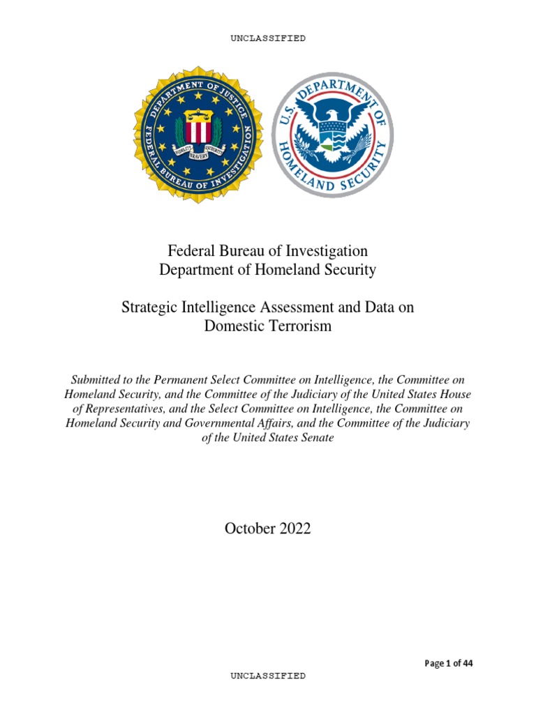 Domestic Terrorism Intelligence Report 2022 | PDF | United States ...