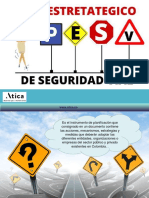 Seguridad Vial - Riesgo Publico PESV