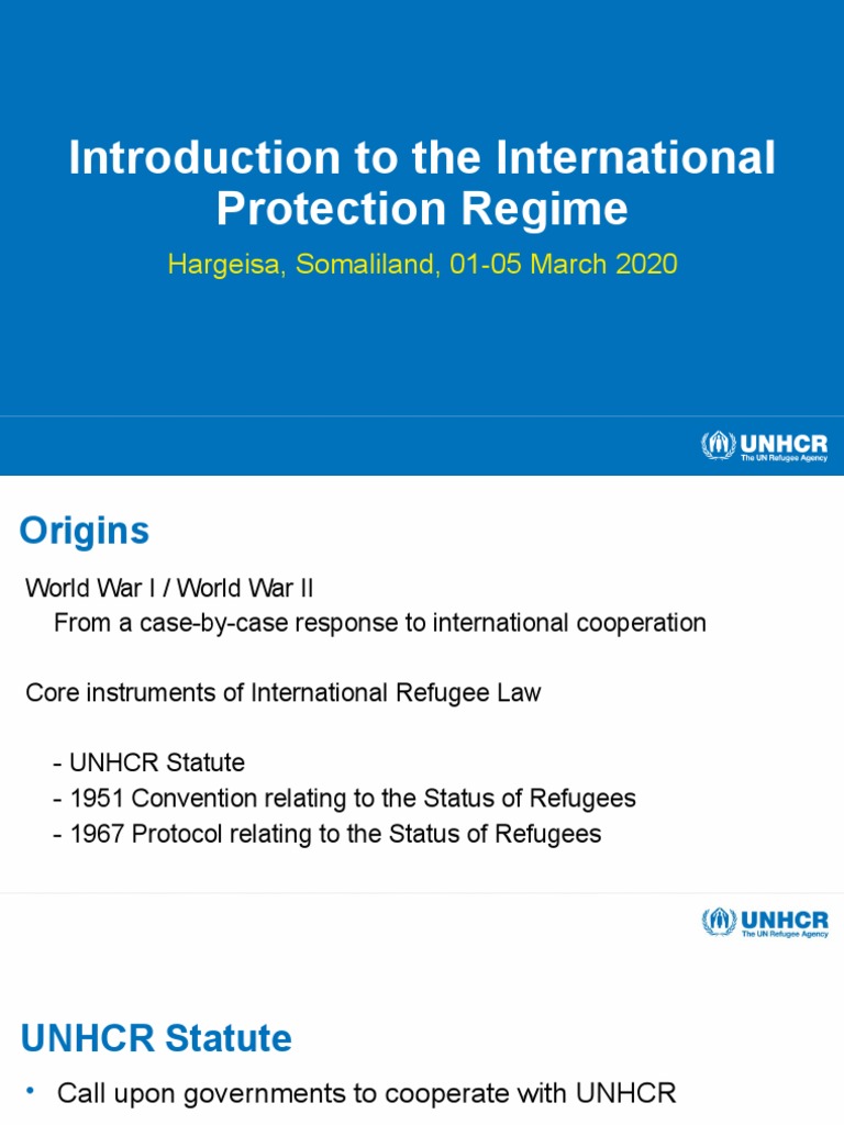 Overview of Refugee Protection Laws | PDF | Refugee | United Nations ...