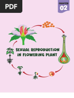 Sexual Reproduction in Flowering Plants