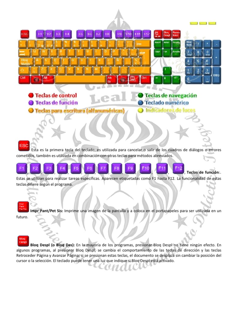 prueba visual data 7