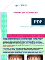 CURS5_ocluzologie_propulsie,POSSELT,frontal (1)
