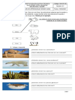 Adaptaciones y Relaciones Entre Los Seres Vivos