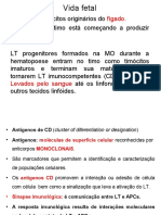 Desenvolvimento dos linfócitos T na vida fetal e no timo