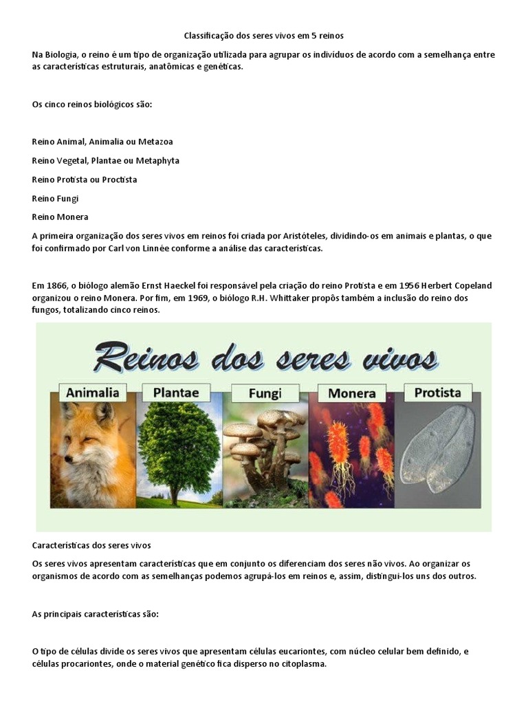 Classificação Dos Seres Vivos | PDF | Plantas | Fungo