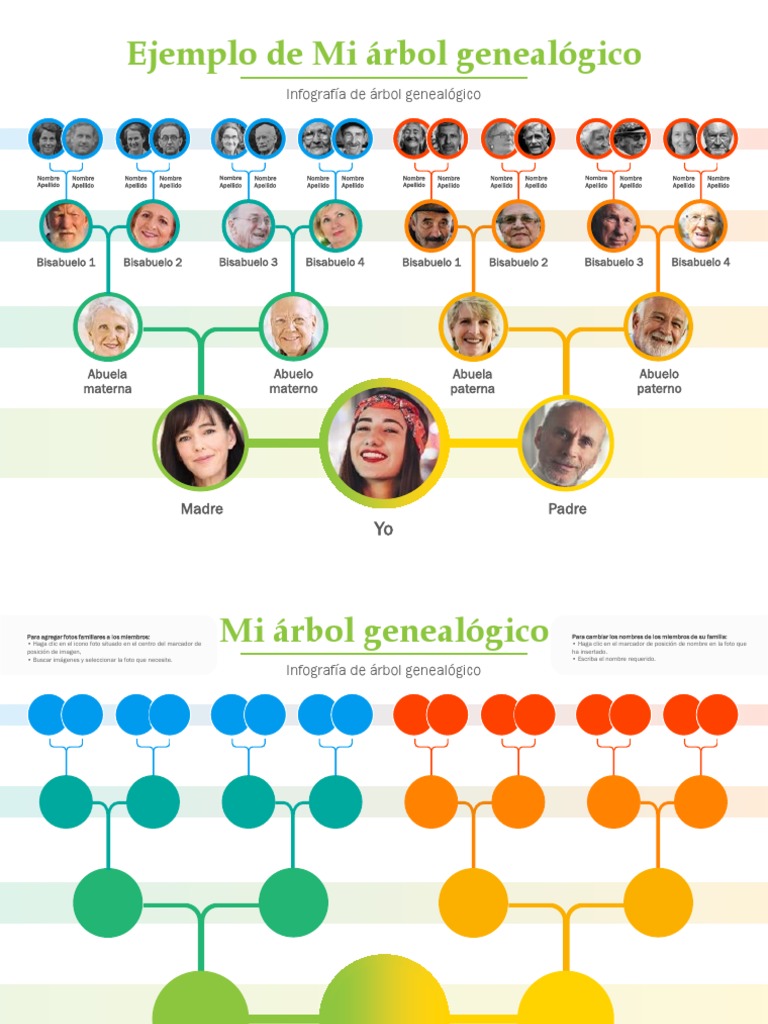 Ejemplo De Arbol Genealogico En Espa ol Libro De Mi rbol
