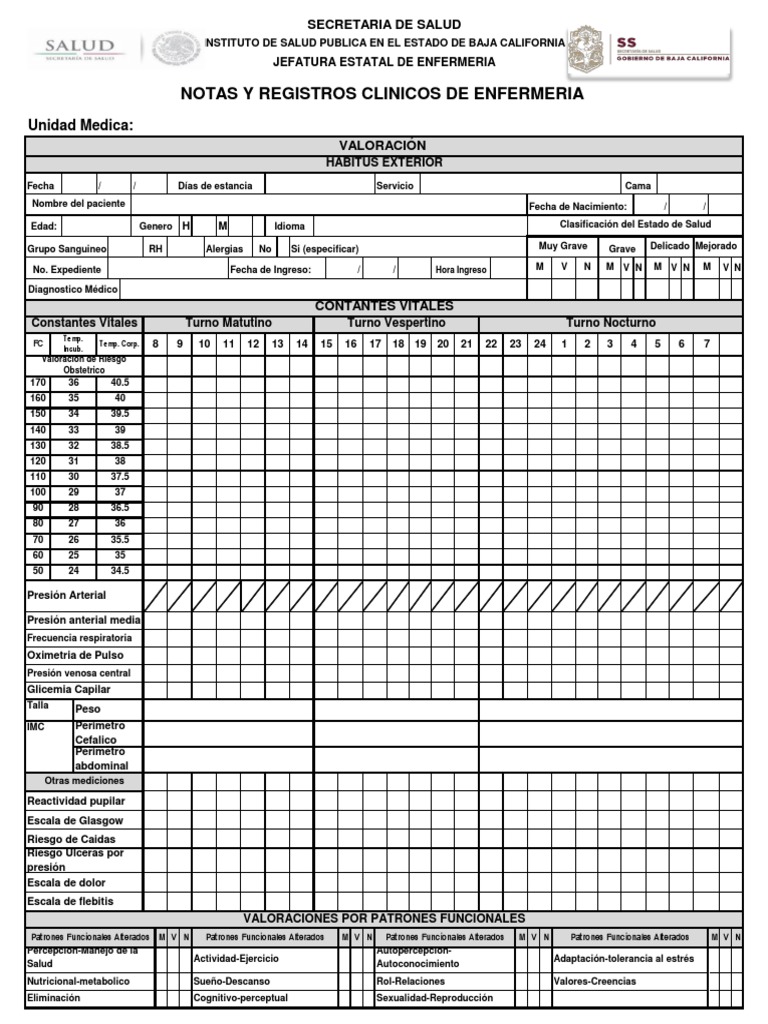 hojas-imprimibles-de-registro-m-dico-formatos-de-hoja-de-vida-para