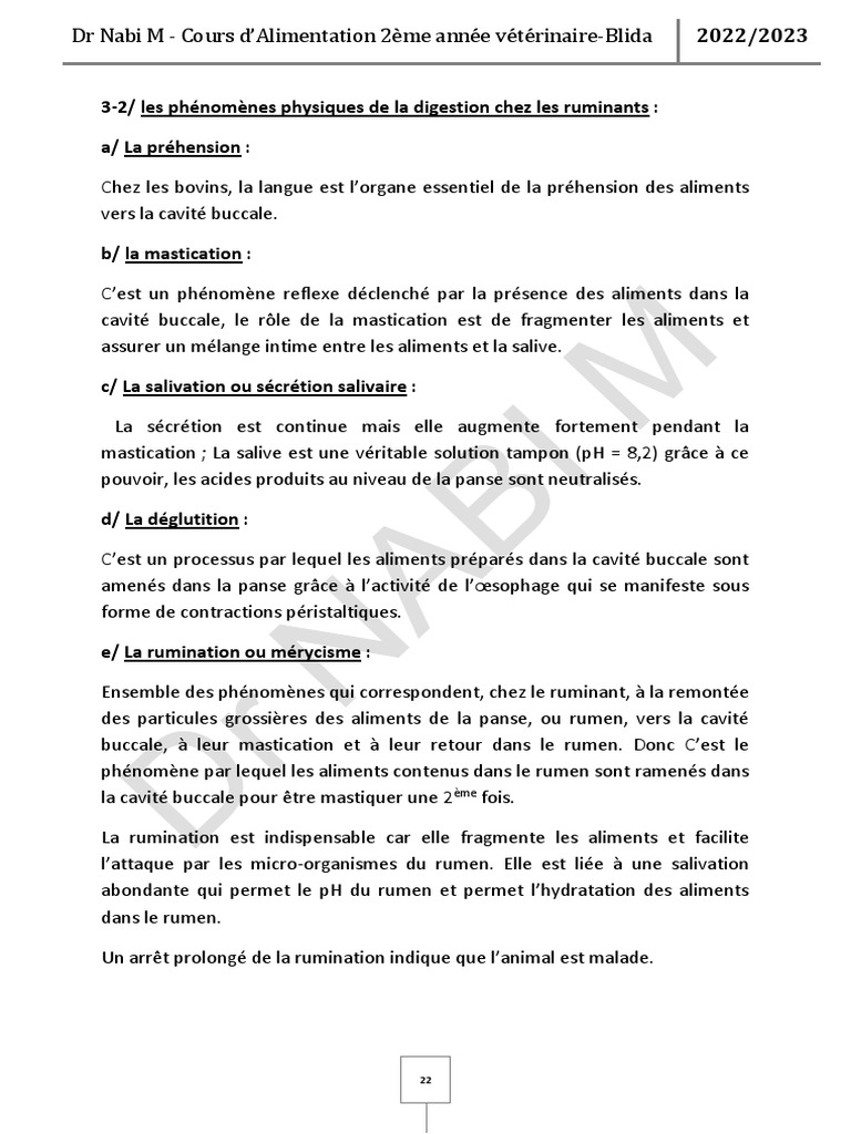 4ème Cours DAlimentation 20222023 PDF Salive Rumination (zoologie)