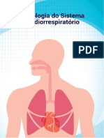 Sistema cardiorrespiratório: função e estruturas