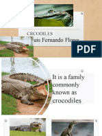 Project Crocodrile