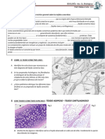 Practico 3 Tejido Conectivo SANFE 2020