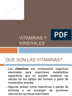 Las Vitaminas y Minerales