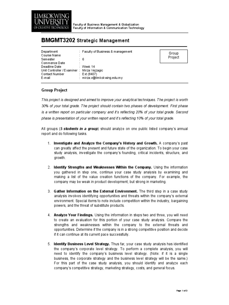 Group Project Guideline | PDF | Strategic Management | Information