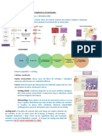 Estructura I Funció Del Cos Humà Tema 2