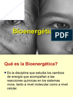 4 Bioenergética
