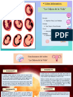 Asistencia en Salud Materna