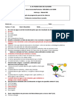 Progressão Parcial Ciências 6° Ano Gabarito